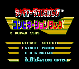 Fire Pro Wrestling - Combination Tag — écran titre