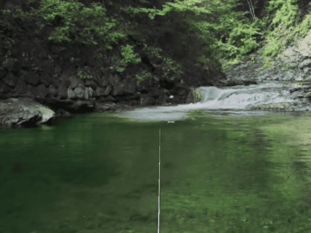 Fish Eyes Wild — screenshot