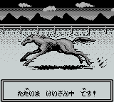 Bakenou Tv '94 — screenshot