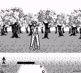 Pga Tour 96 — screenshot