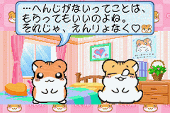 Hamster Club 4 - Shigetchi Daidassou — screenshot