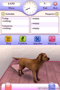 Let's Play Pet Hospitals — screenshot
