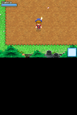 Harvest Moon - Grand Bazaar — screenshot