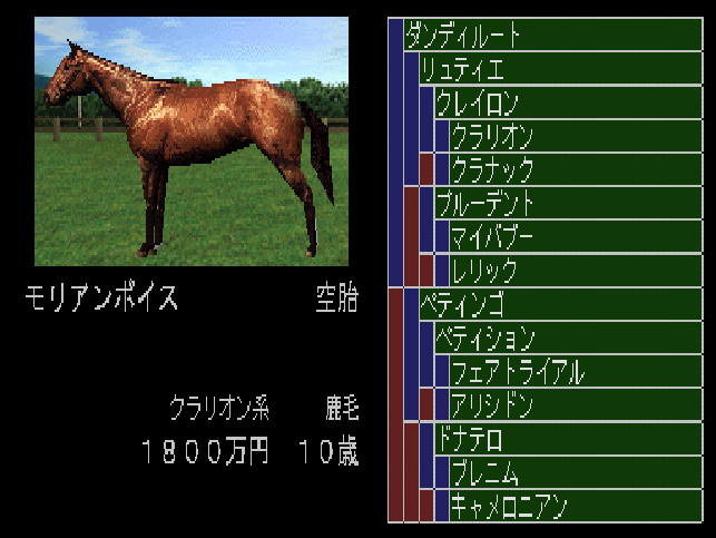Breeding Stud '99 — screenshot