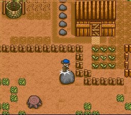Harvest Moon (SNES) — screenshot