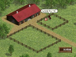 Derby Stallion — screenshot