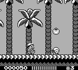 Adventure Island — screenshot